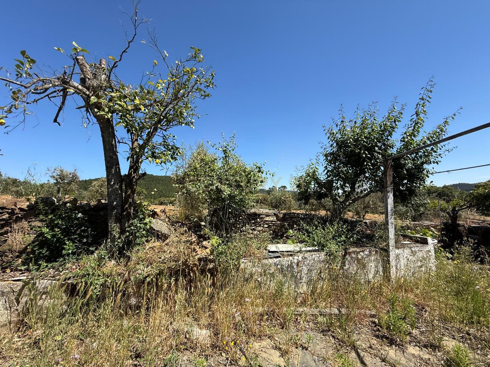 Moradia T1 à venda em Alegrete, Portalegre — foto 29