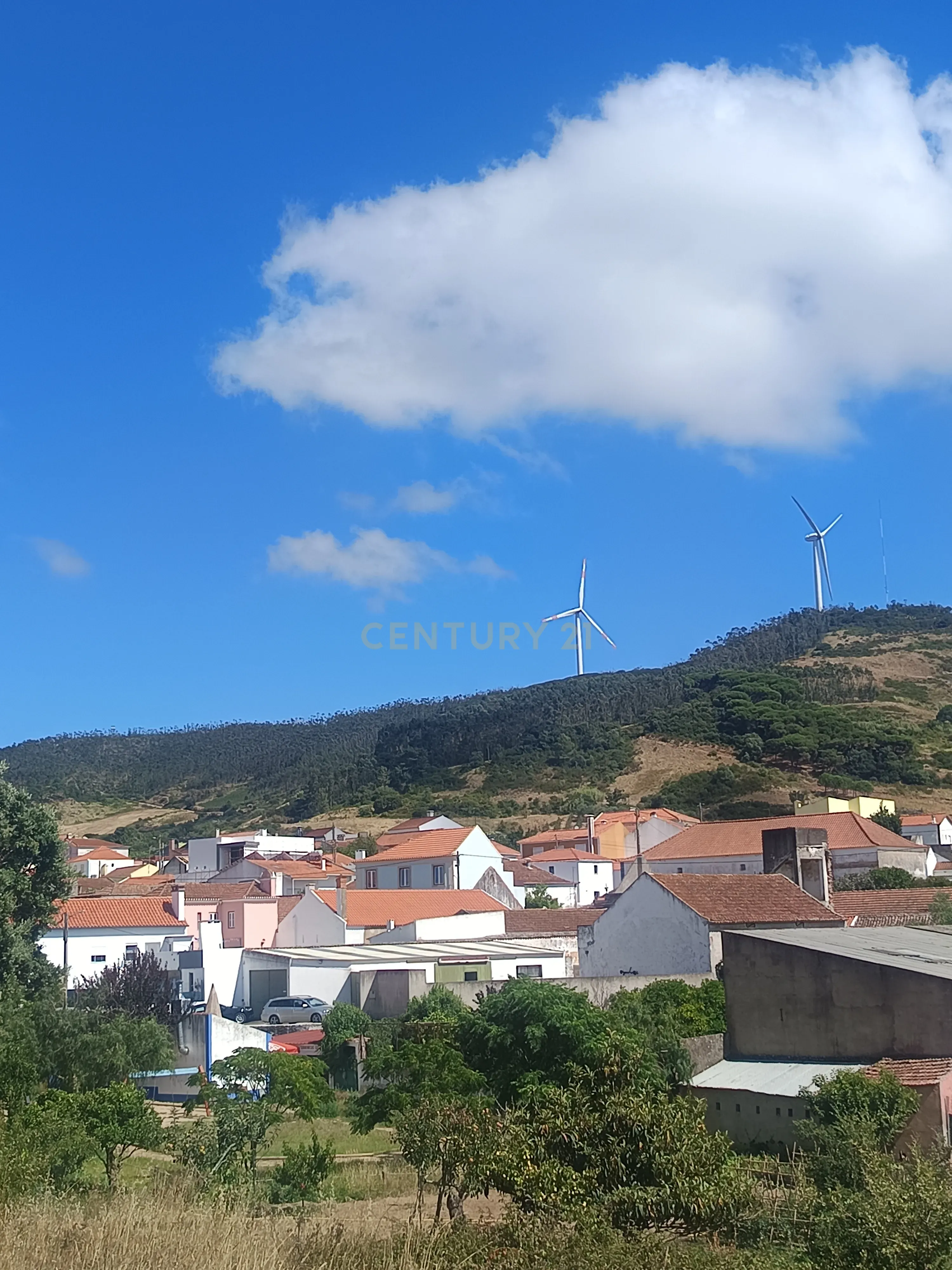 Fotografia 5 de Terreno de 4.520 m2 em Monte Redondo -Torres Vedras