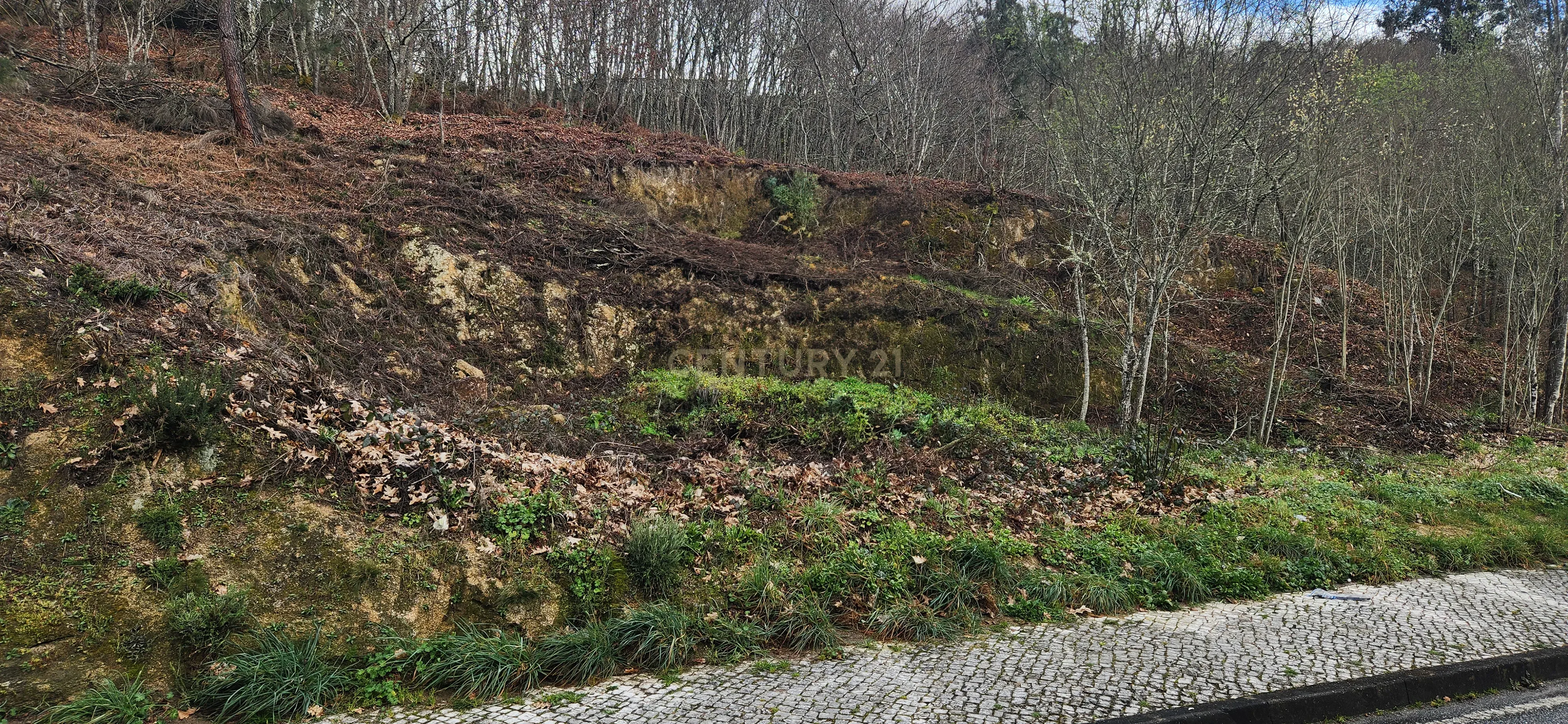 Terreno Urbano em São Pedro do Sul - Image 10