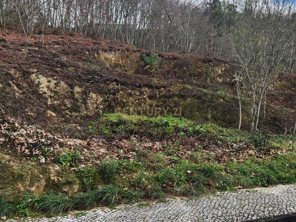 Terreno Urbano em São Pedro do Sul - Image 10