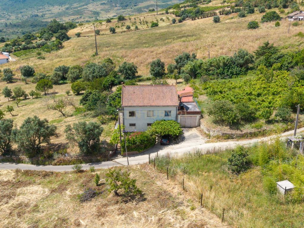 Quinta com 9320m2 em São João dos Montes (Alhandra) - Image 6