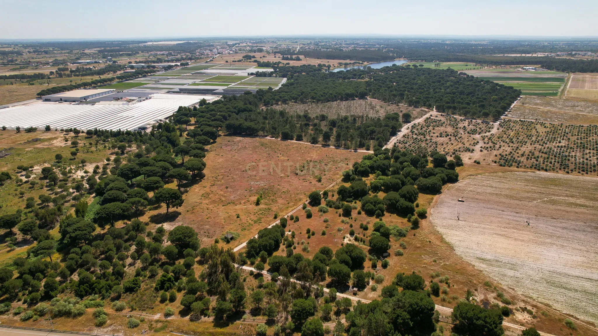 Terreno Rústico c/ 22.500m2 - Sto Isidro de Pegões - Montijo - Image 4