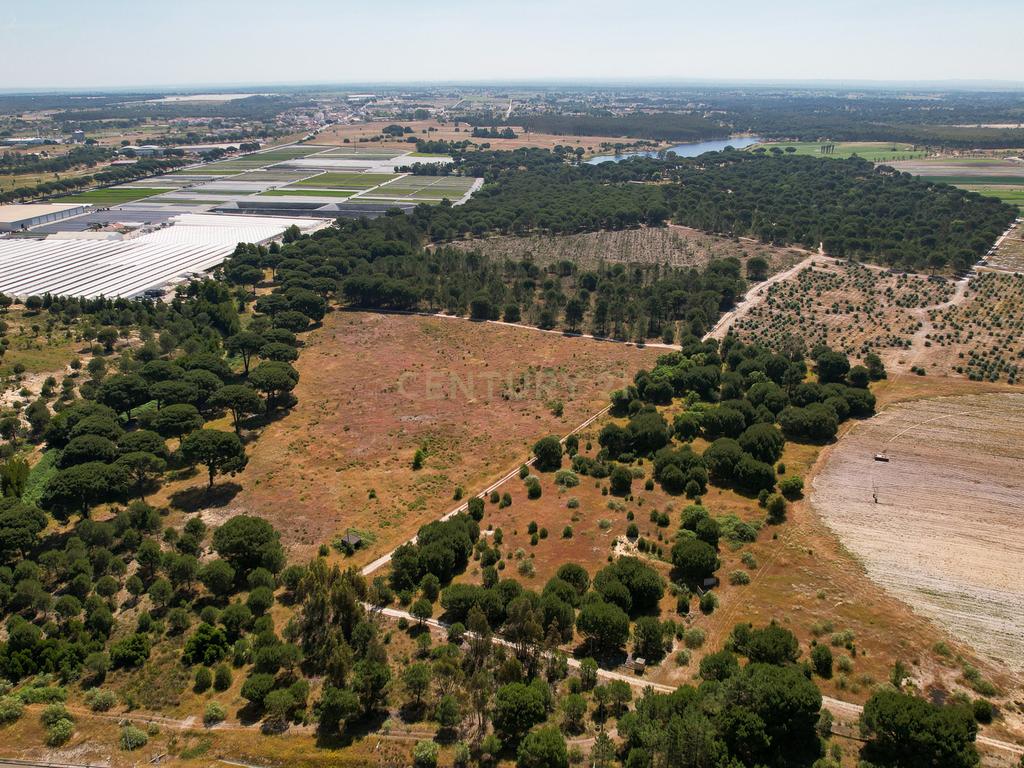 Terreno Rústico c/ 22.500m2 - Sto Isidro de Pegões - Montijo - Image 7