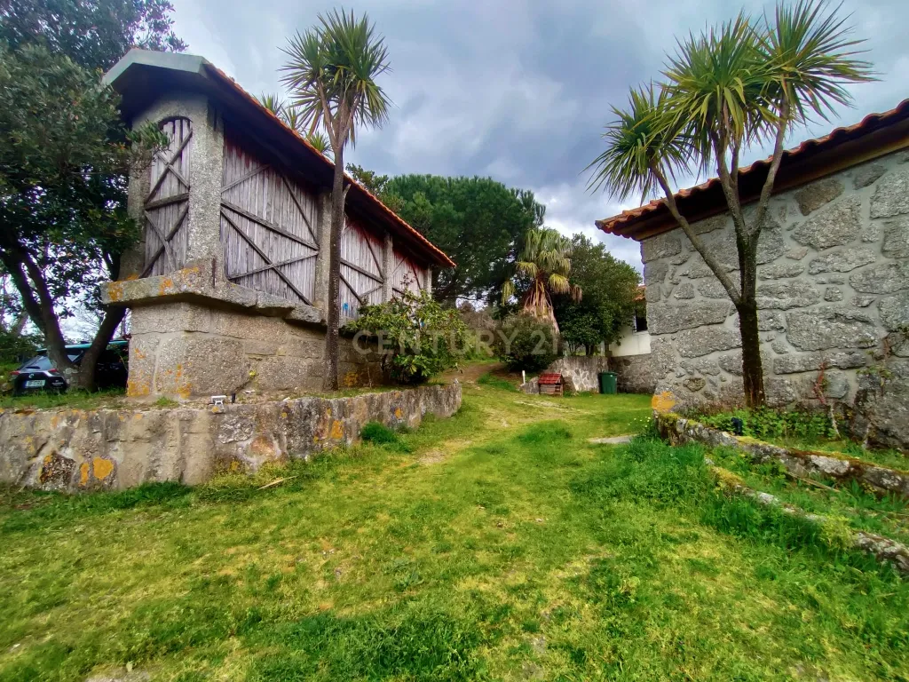 Quinta com ancestral moradia para habitação particular ou turismo de habitação em Felgueiras, Resende, Viseu - Image 8