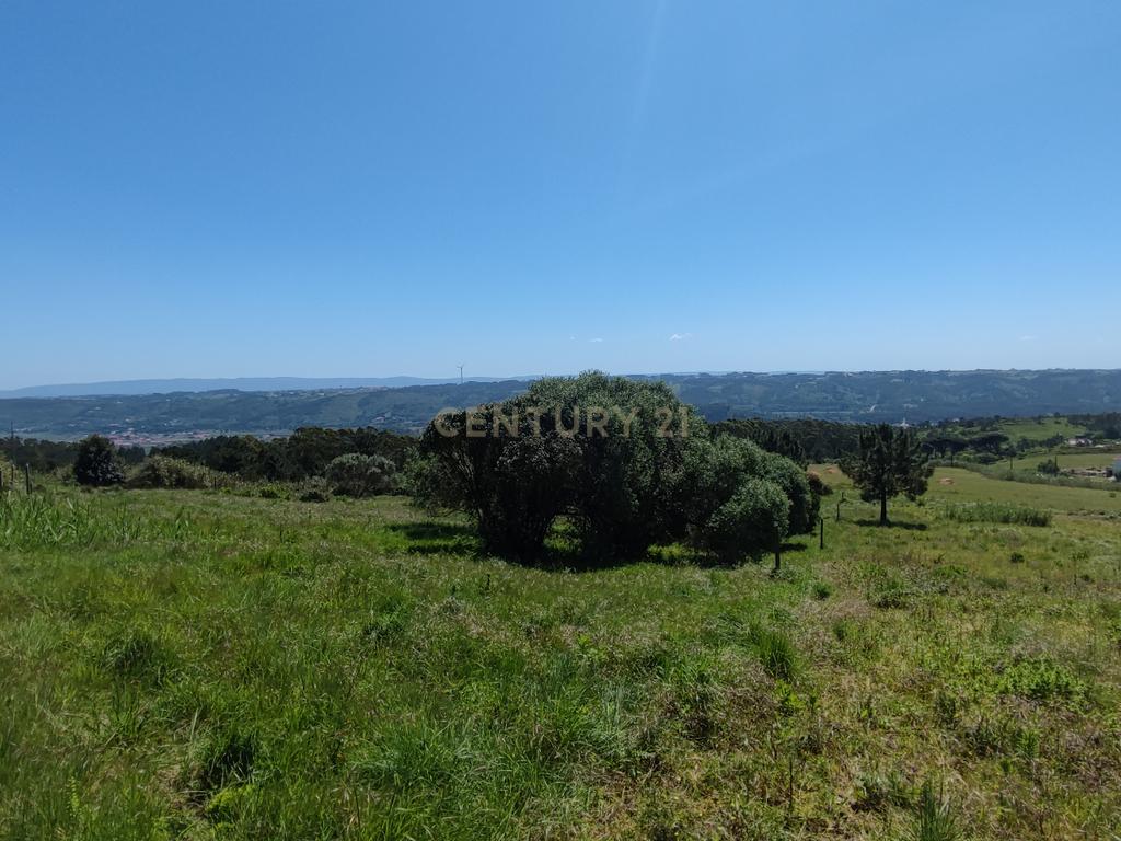 Terreno na Nazaré - Image 10