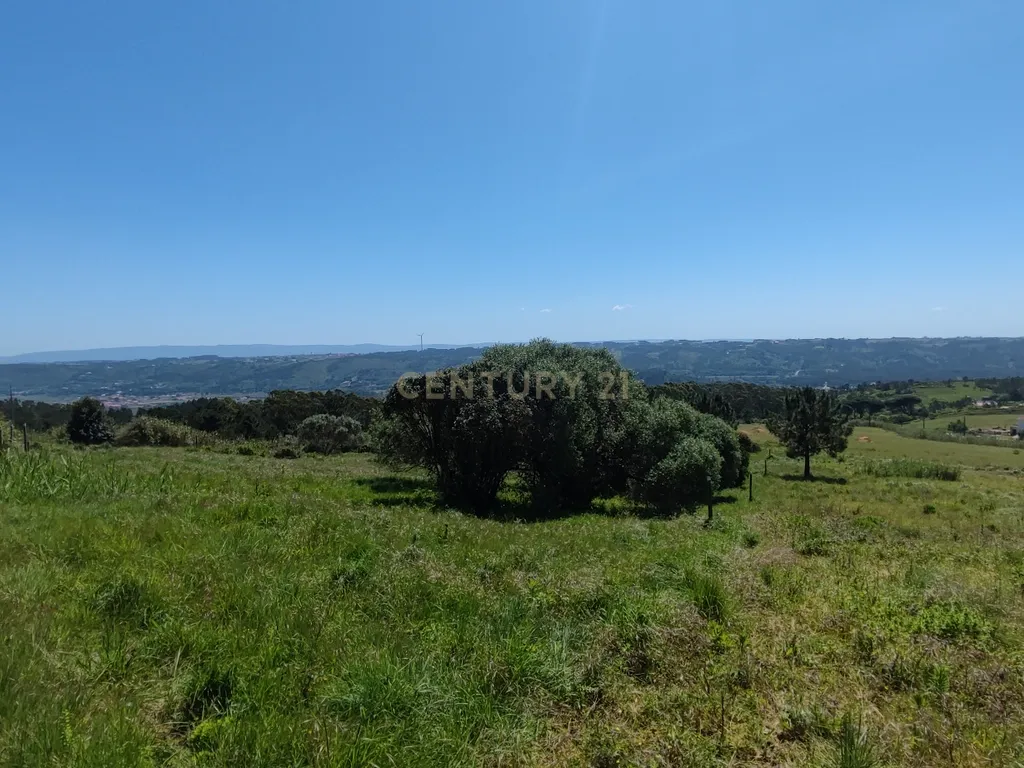 Terreno na Nazaré - Image 10
