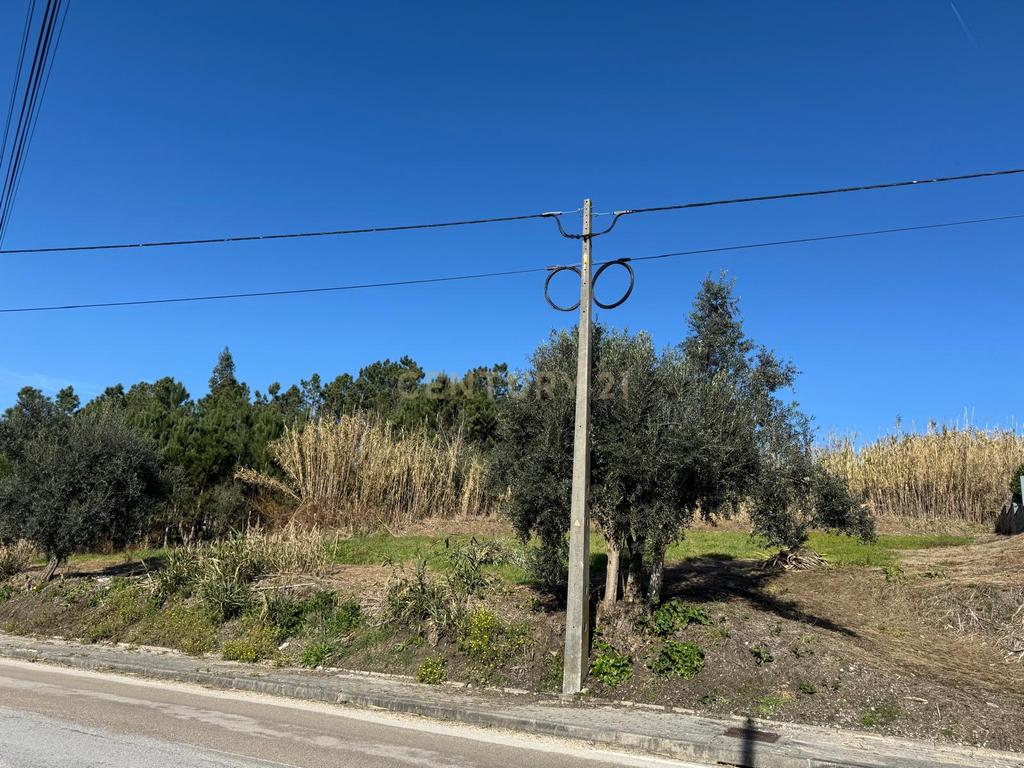 Terreno Panorâmico em Pombal - 1020m² por 34.500€ - Image 19