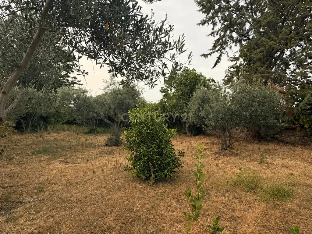 🌿 Um refúgio privado com piscina e quase 2 000 m² de natureza, a 5 minutos de Trujillo. - Image 27
