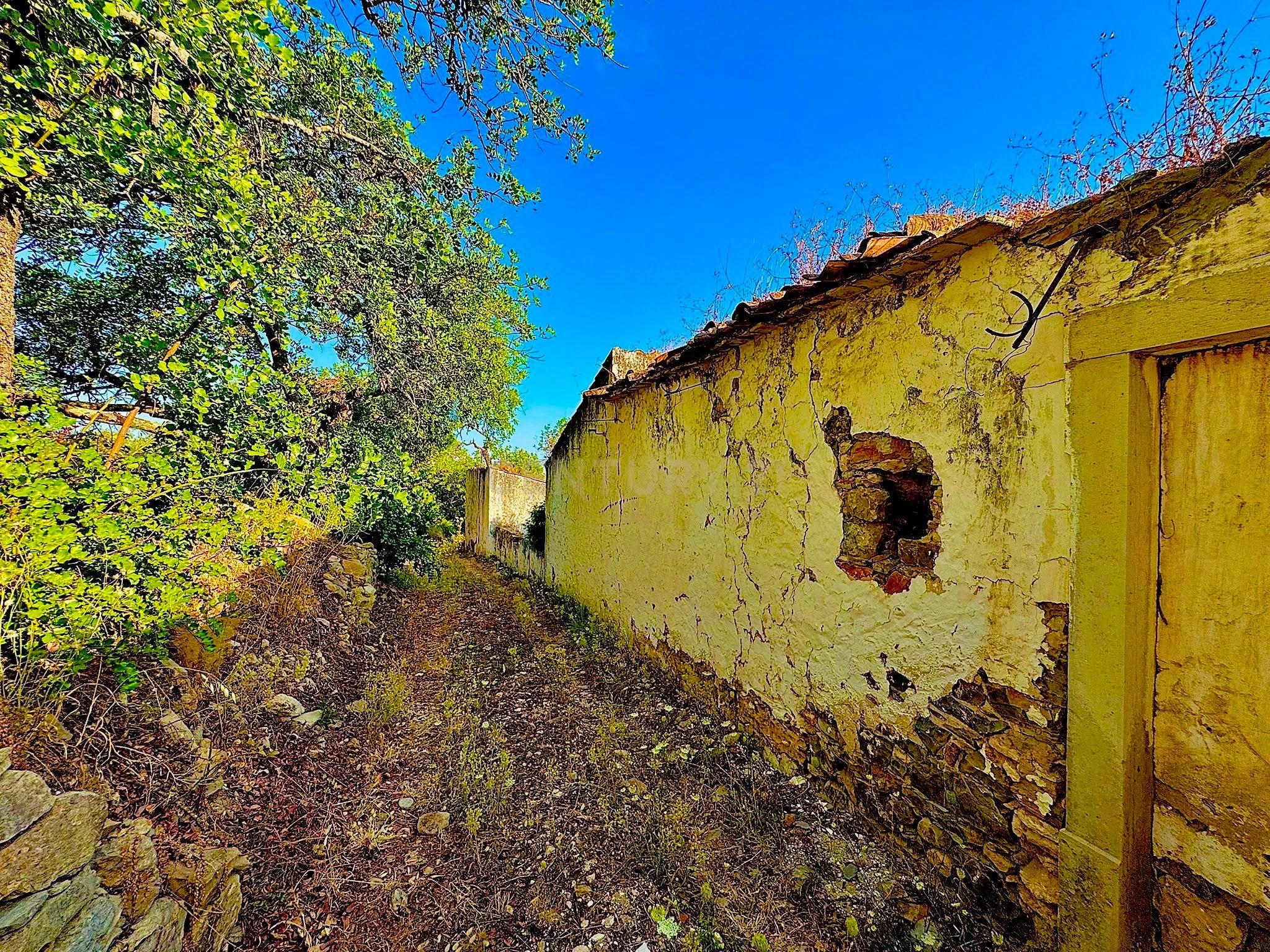 Fotografia 5 de TERRENO COM RUÍNA E VISTA PANORAMICA | SAMBADA A 15 MINUTOS DE FARO