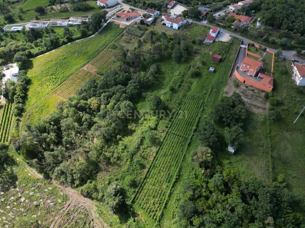 Terreno para construção - Bemposta, Maiorga, Alcobaça - Image 5