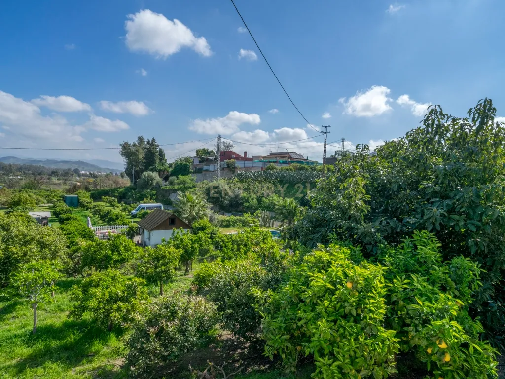 Propriedade única com 2 habitações independentes, piscina e zona desportiva em Alhaurín de la Torre - Image 68