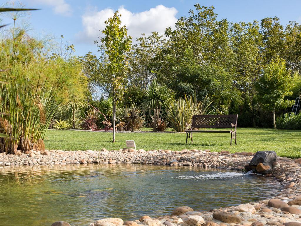 Propriedade T8 com Jardins, Lago e Potencial Alojamento - Localização Premium - Image 13