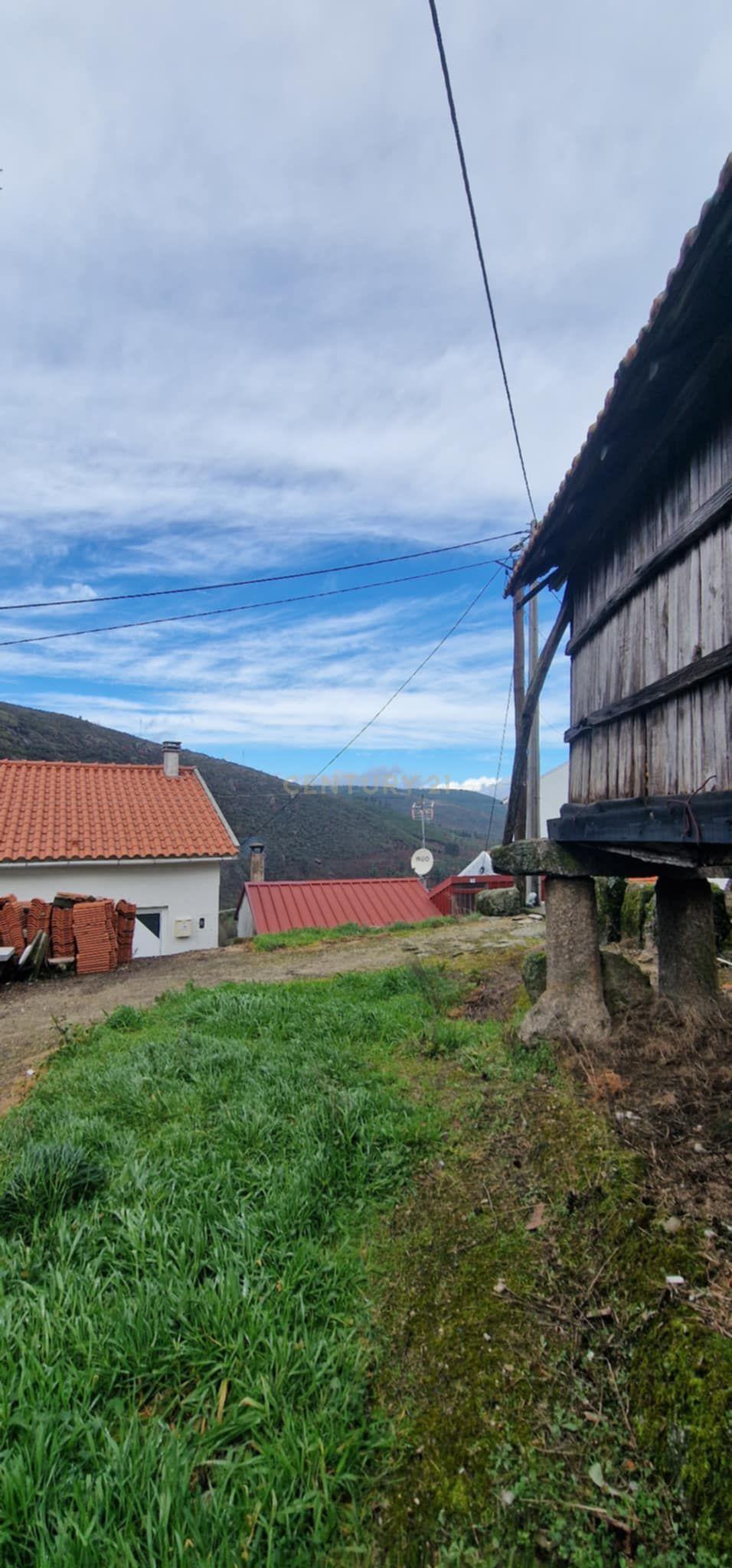 Casa/Arrecadação em Pedra com Espigueiro - Lazarim,Lamego - Image 3