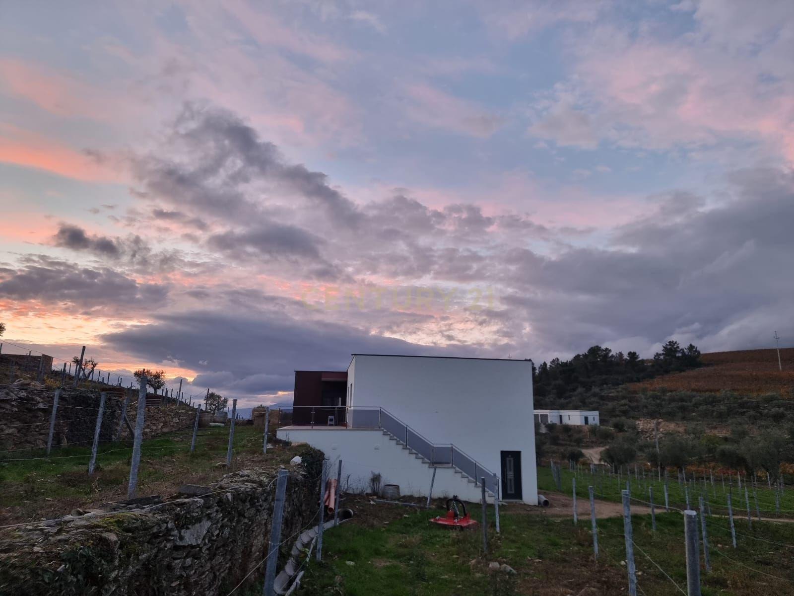 🏡Quinta com Moradia T3 e Vinha no Coração do Alto Douro Vinhateiro – Património Mundial da UNESCO - Image 5