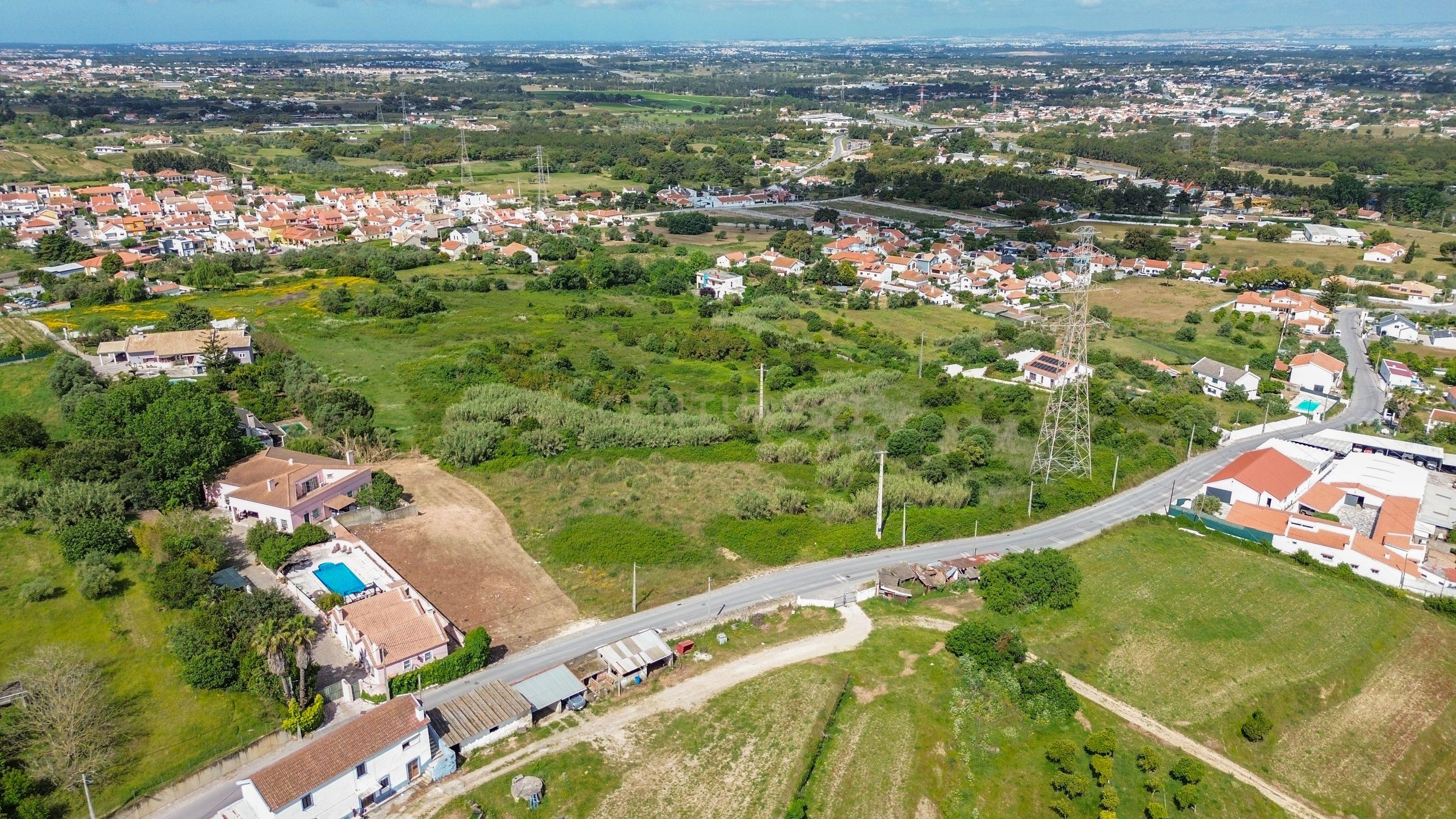 Fotografia 12 de Terreno para Loteamento – Quinta dos Carvalhos, Palmela