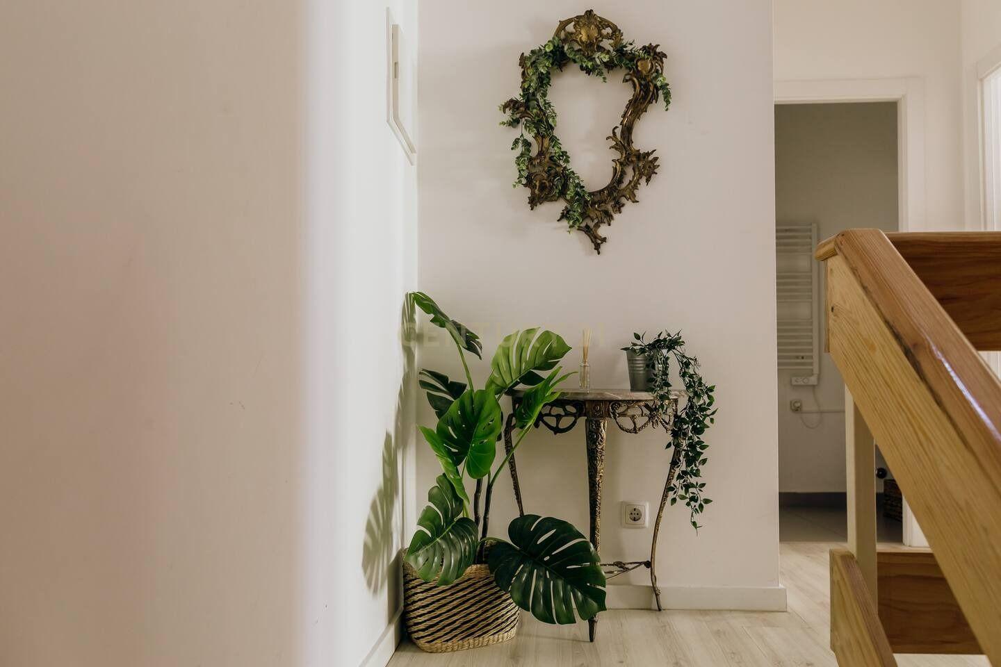 Fotografia 6 de Prédio de Charme Totalmente Renovado no Coração da Baixa de Setúbal – Investimento de Excelência