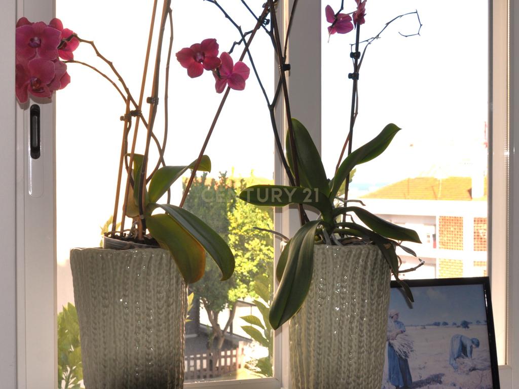 Apartamento T2 com arrecadação, renovado, no centro de Almada  - Image 12