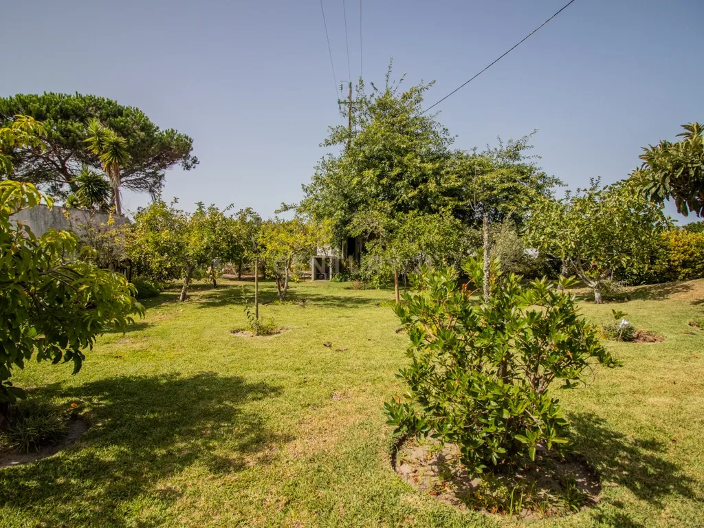 Moradia térrea T3+T0 com piscina, garagem e terreno com 2.257 m², no Ervedal, em Quiaios - Image 54