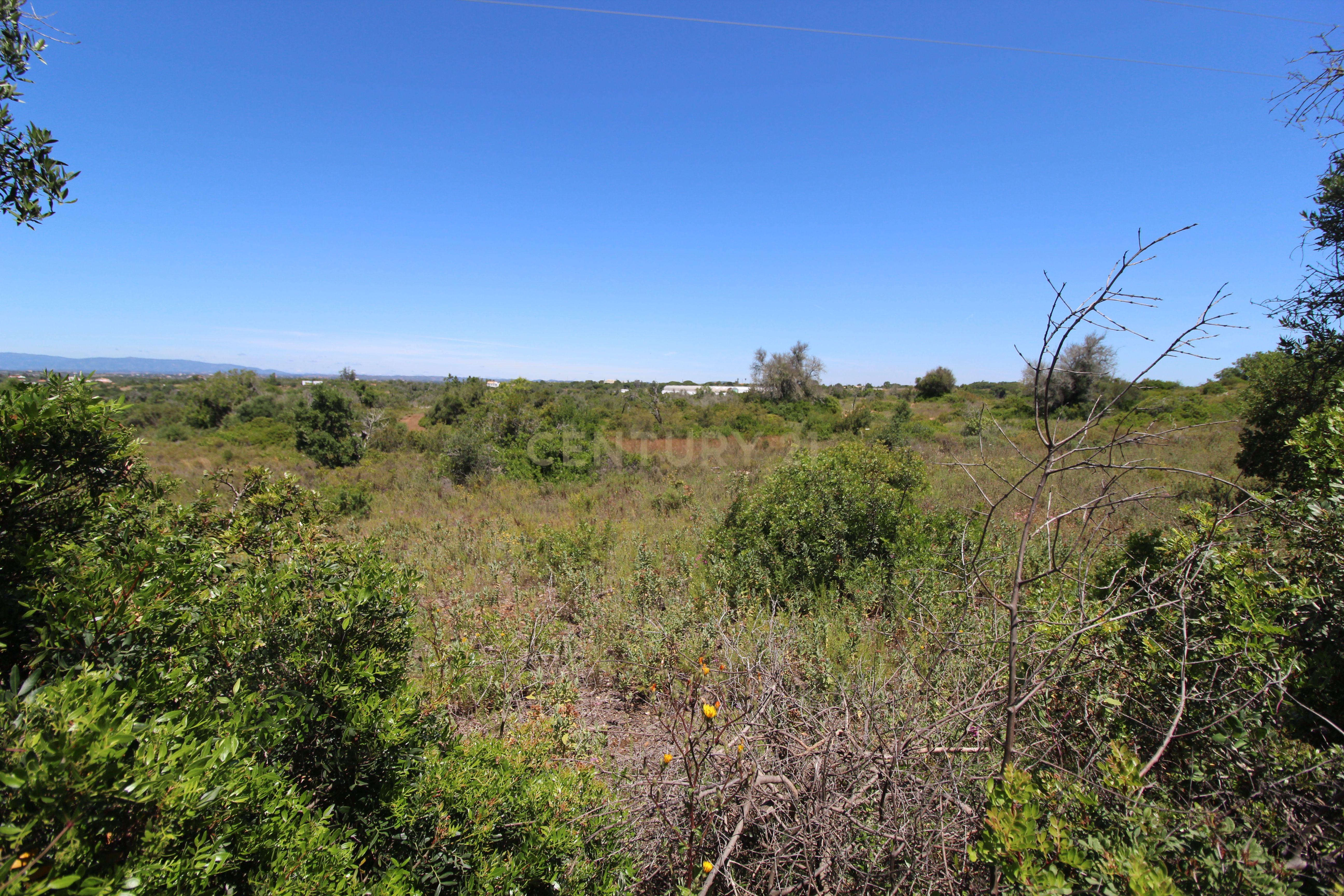 Fotografia 3 de Terreno Rústico com 13.000 m² no Coração do Algarve
