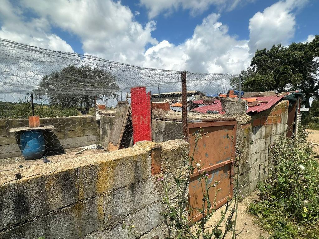 Fantástica Quinta, 5.3ha- Zebreira, Idanha-a-nova - Image 17