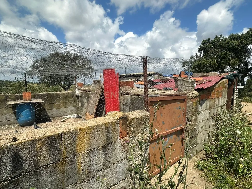 Fantástica Quinta, 5.3ha- Zebreira, Idanha-a-nova - Image 17