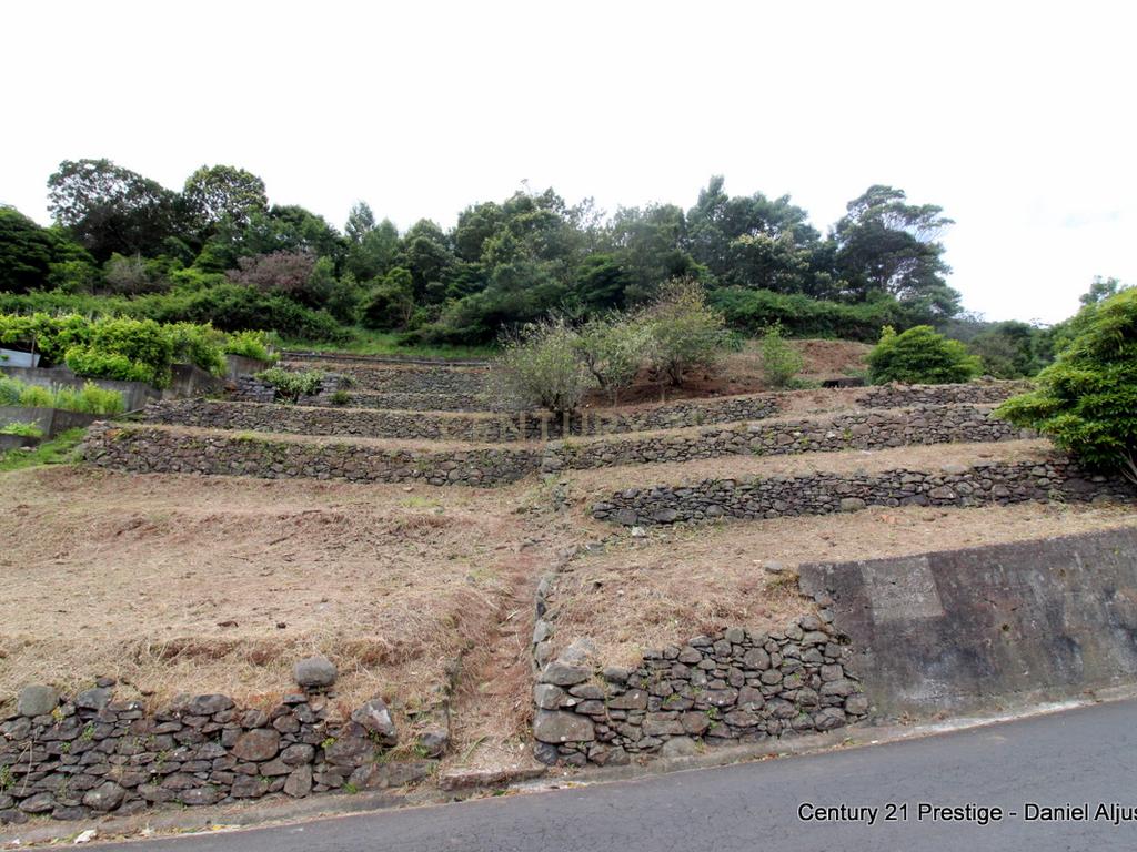 Terreno  em Machico, Madeira - Viabilidade e Água - Image 11
