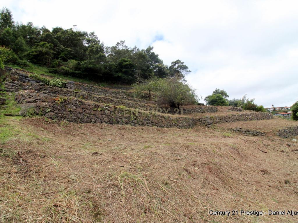 Terreno  em Machico, Madeira - Viabilidade e Água - Image 10
