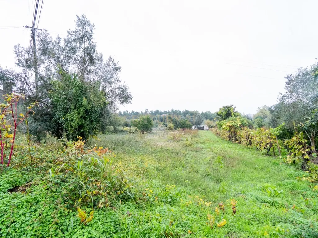 Terreno urbano, 1.344m² Pinheiro- Vila Nova de Poiares - Image 3