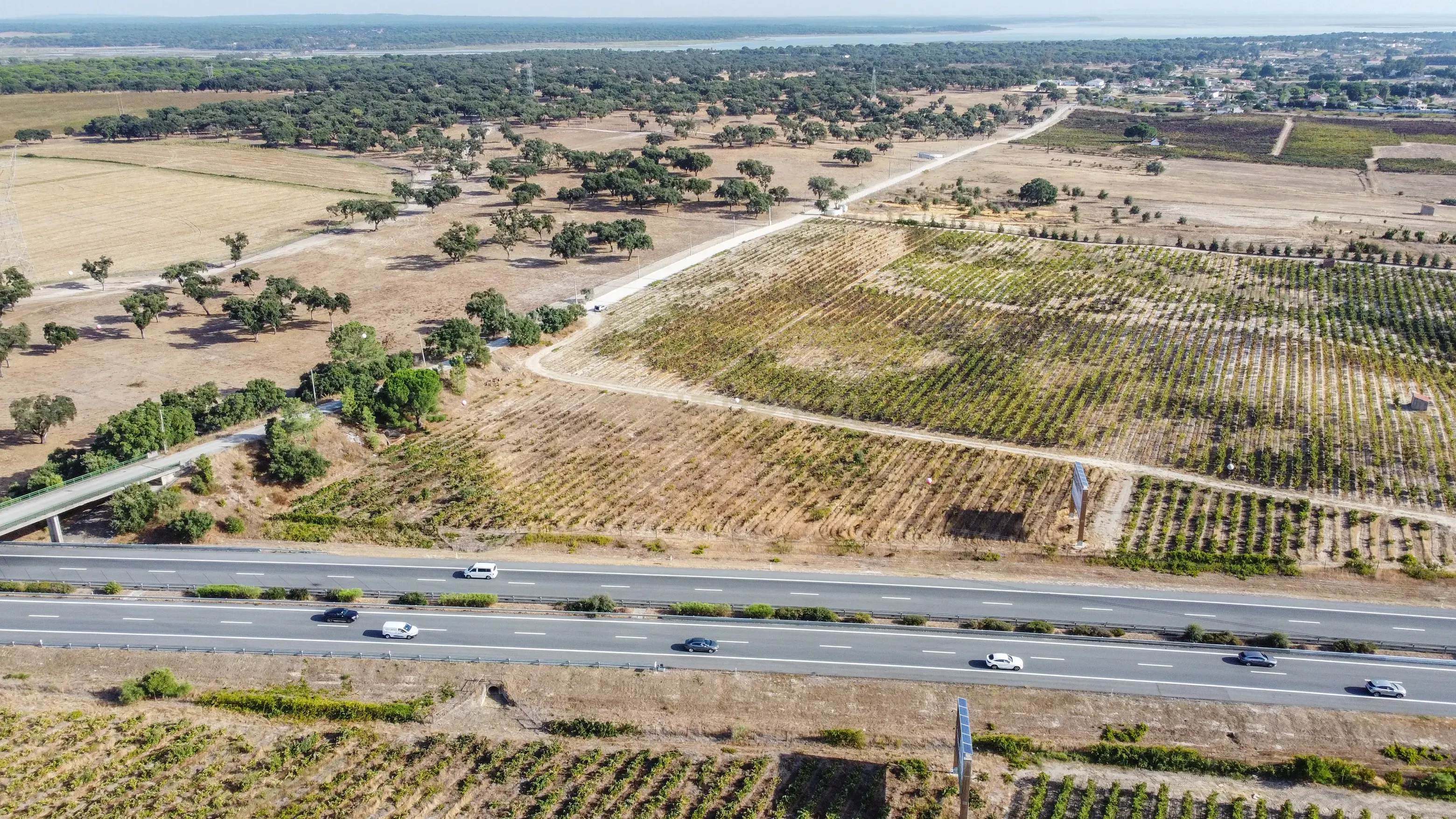 Fotografia 3 de Terreno Rústico com PIP Favorável para Construção de Moradia – Cajados, Palmela