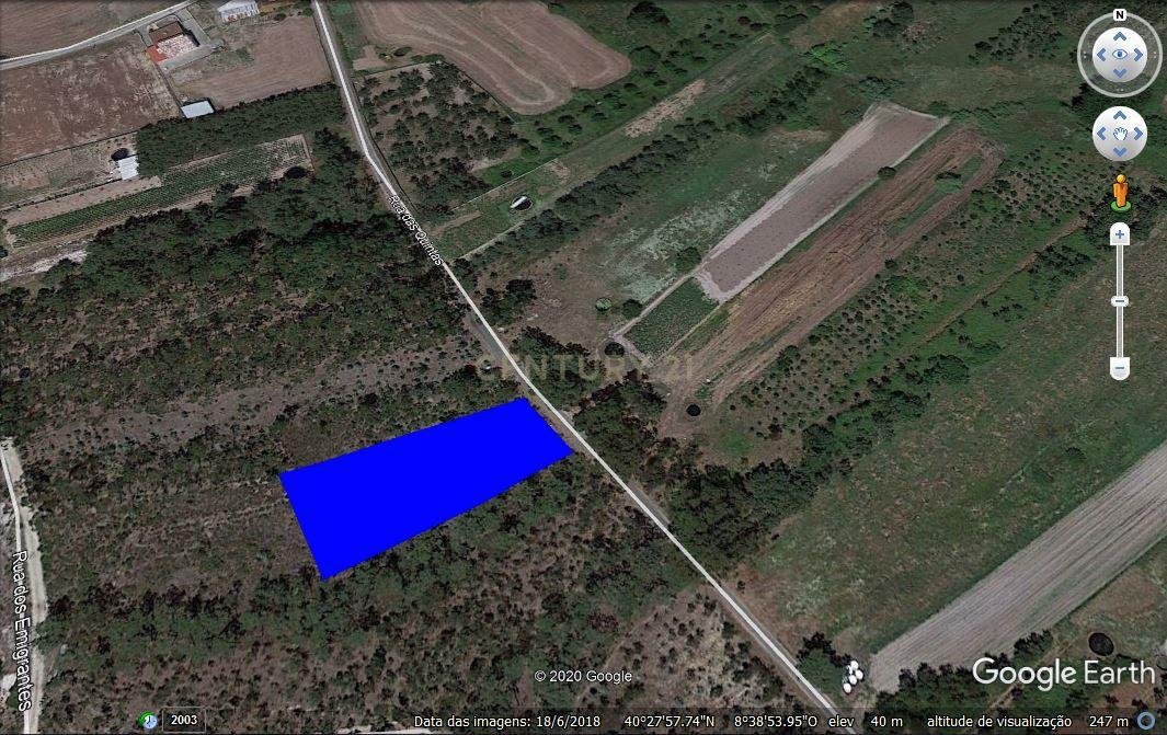 Fotografia 5 de Terreno em Vagos com 770m² - Oportunidade Única!