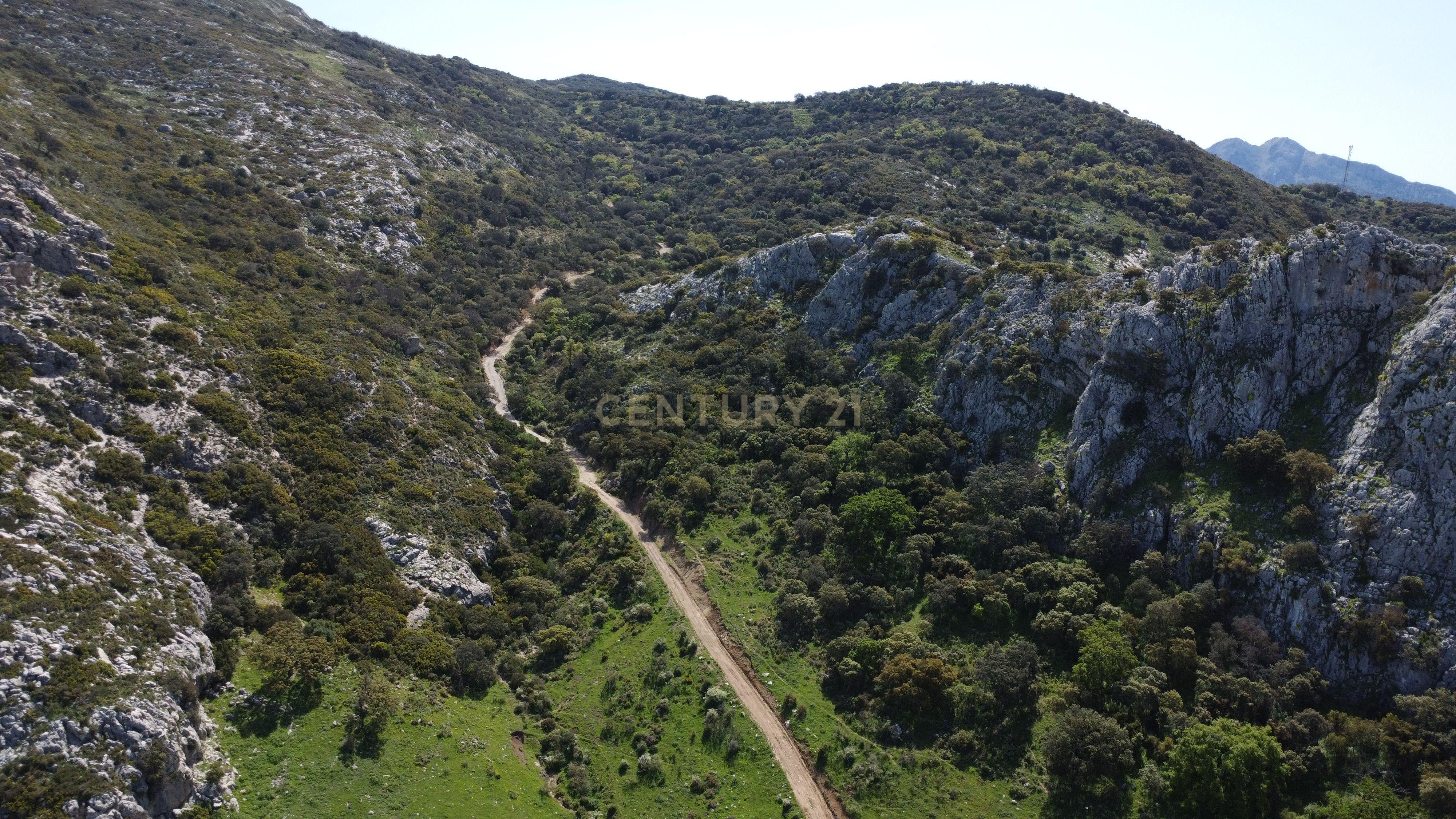 VENDA DE PROPRIEDADE RÚSTICA EM ANTEQUERA COM EXPLORAÇÃO DE AGROTURISMO - Image 7