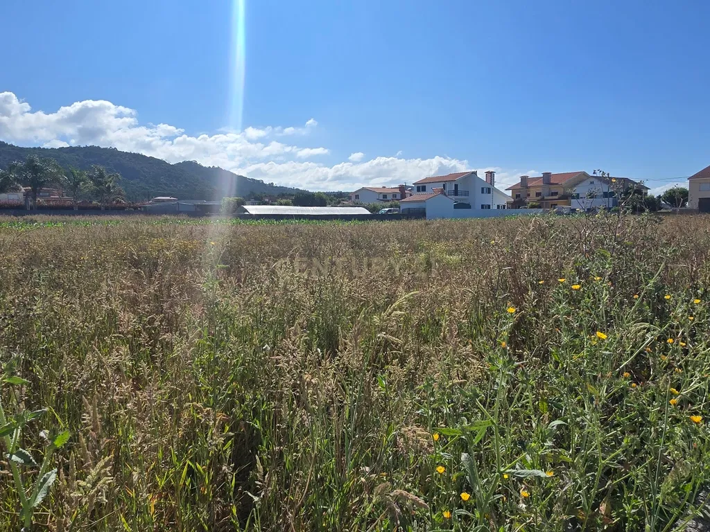 Terreno com 380 m2 venda Nas Marinhas - Image 6