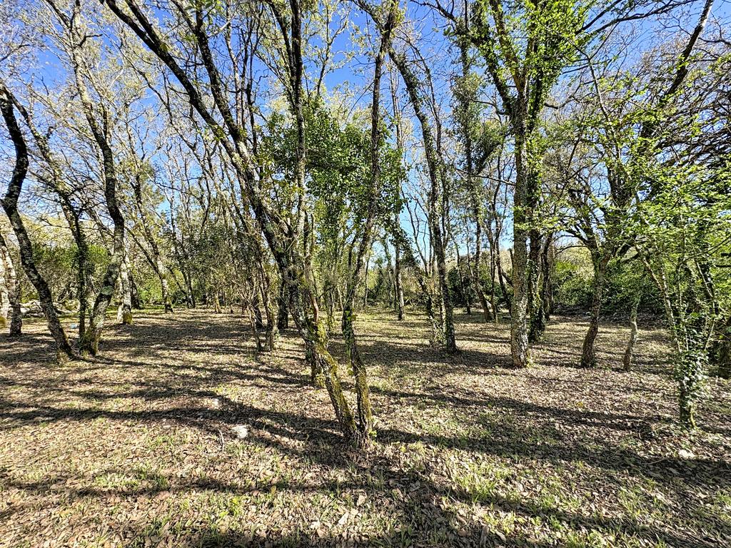 O lugar ideal para construir em plena natureza – Alcobaça - Image 22