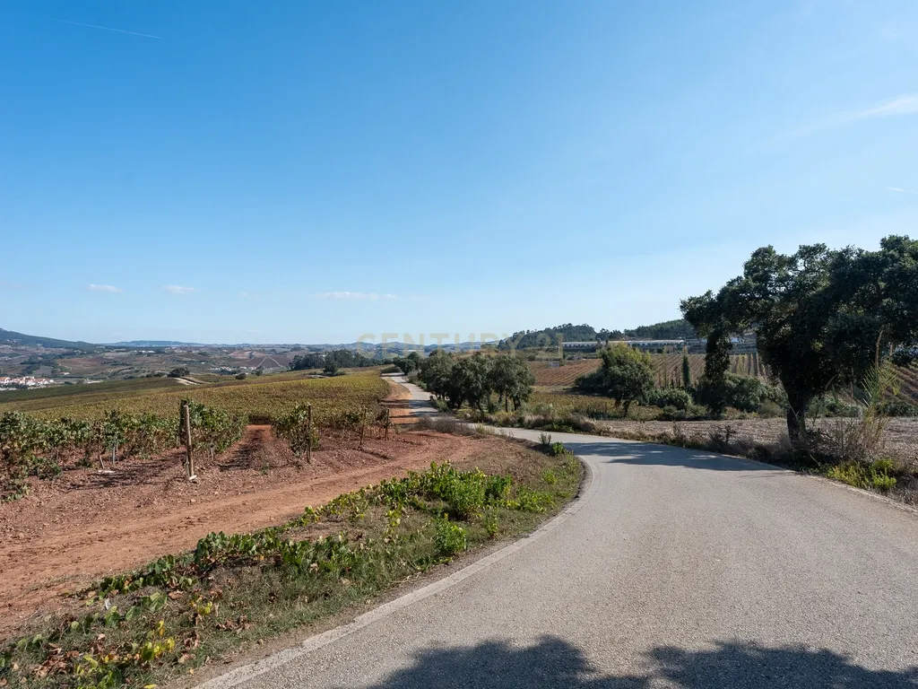 TERRENO à VENDA em ABOBOREIRA, Azueira - Image 5