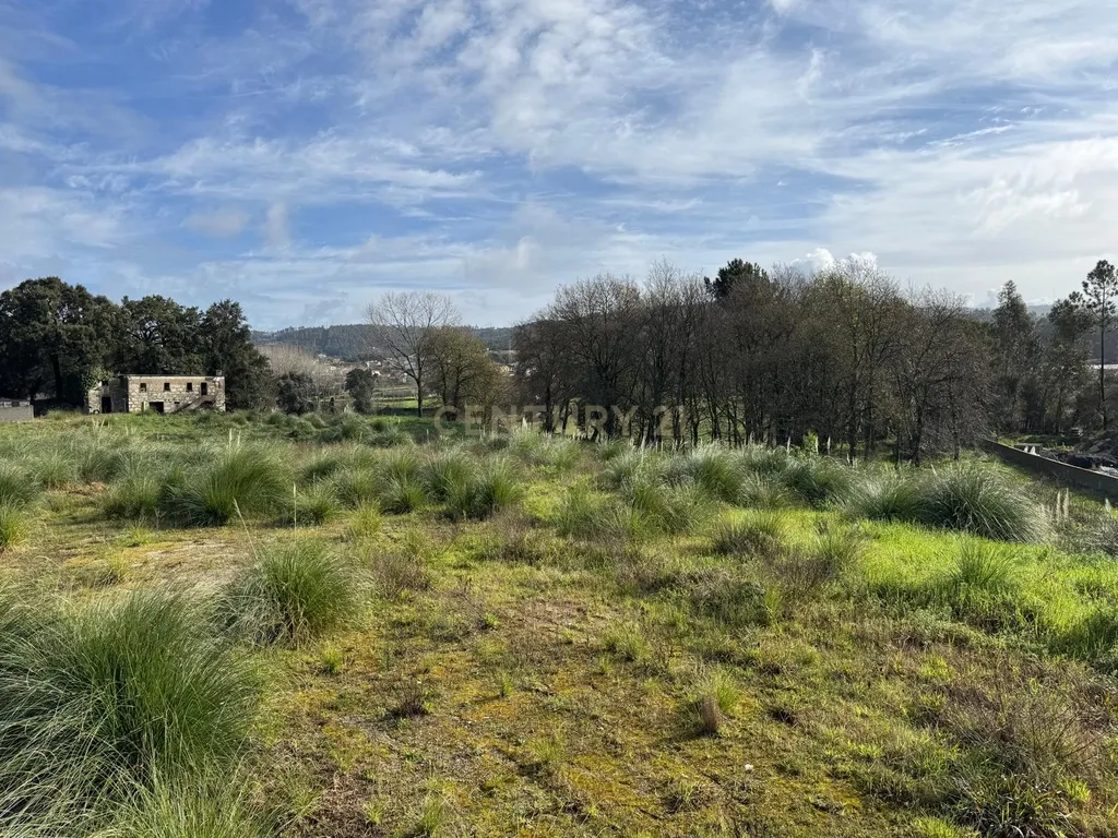 Terreno C/ 12.000 M2 com viabilidade de construção - Image 6