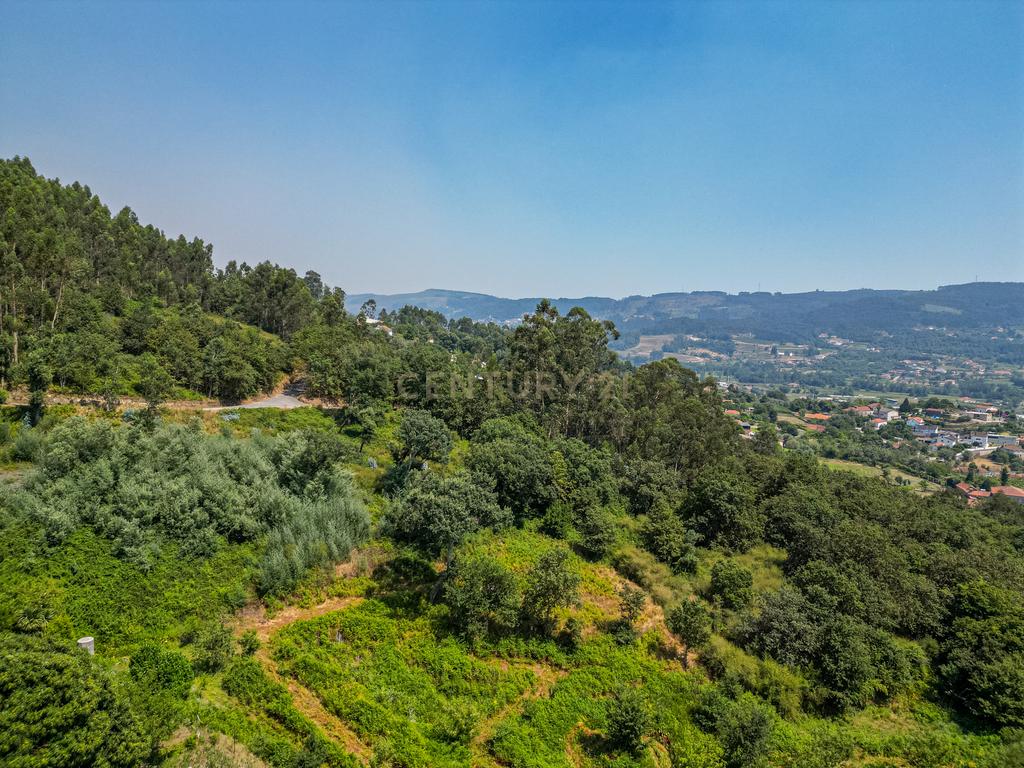  Quinta  para reconstrução , em  Anais, em Ponte de Lima – a vila mais antiga de Portugal. - Image 20
