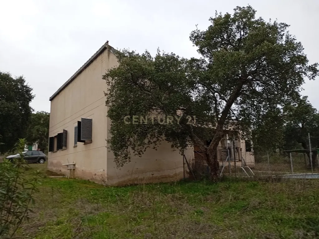 🏡 Quinta rural com casa e piscina na Serra de San Pedro (Cáceres) 🌿 - Image 33