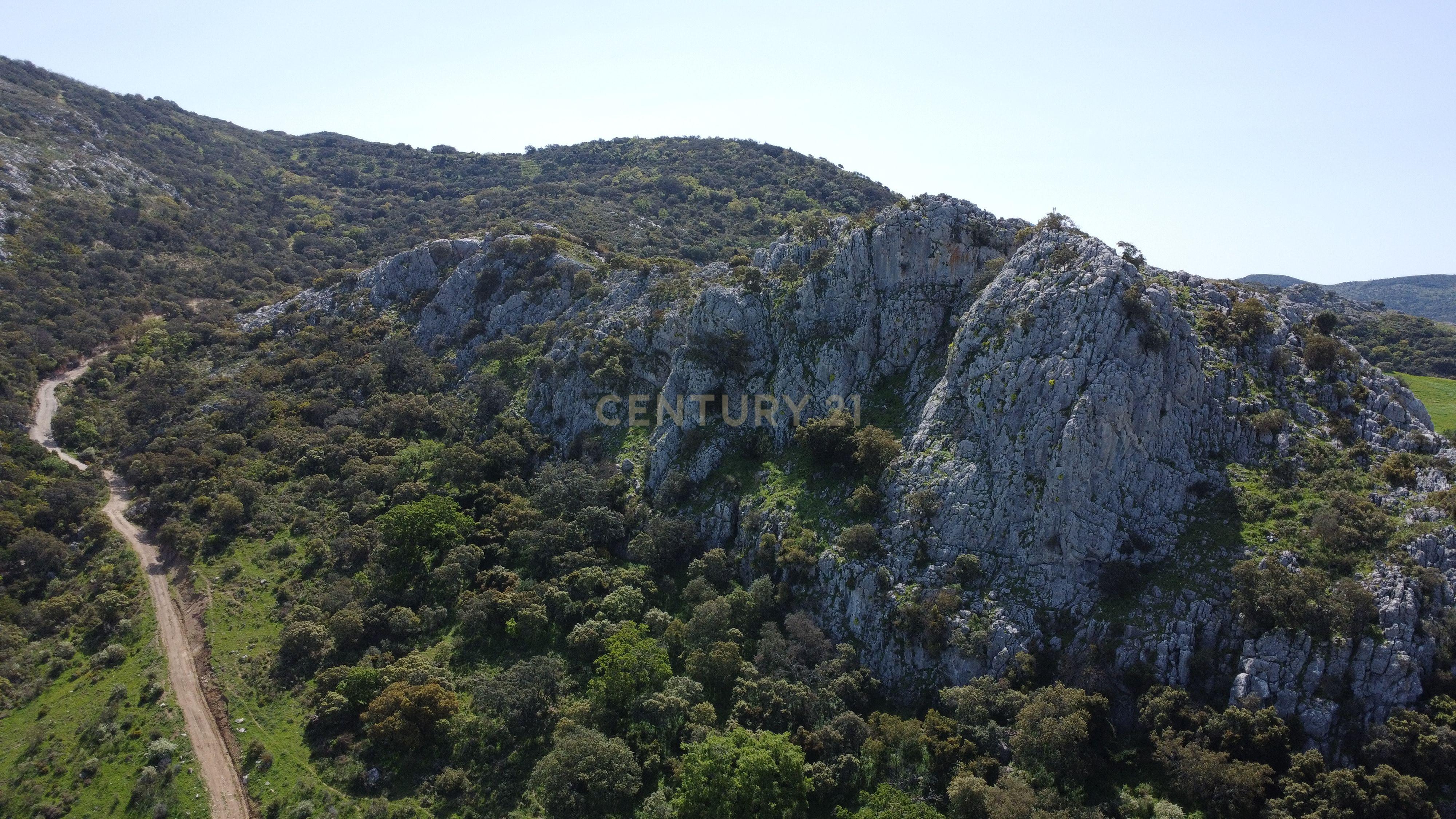 VENDA DE PROPRIEDADE RÚSTICA EM ANTEQUERA COM EXPLORAÇÃO DE AGROTURISMO - Image 4