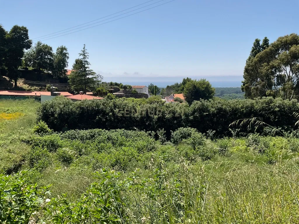Deslumbrante Terreno com Vista Panorâmica em Cristelo, Caminha - Image 3