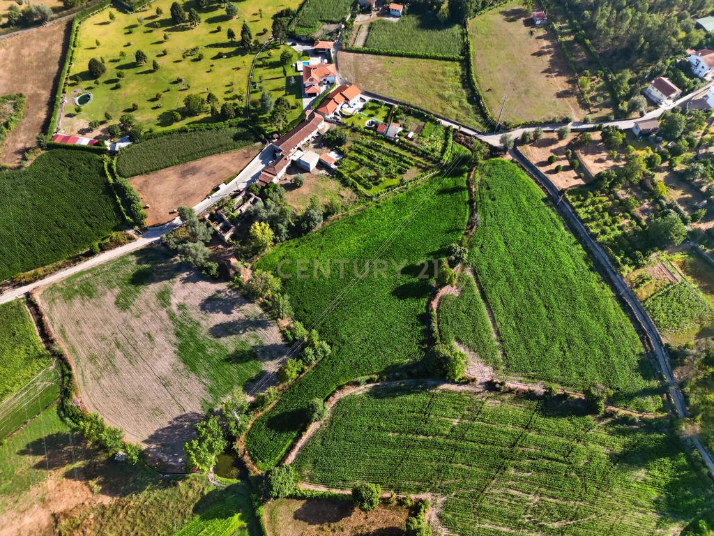 Quinta de Verim – 22.000 m² de história, natureza e potencial - Image 14