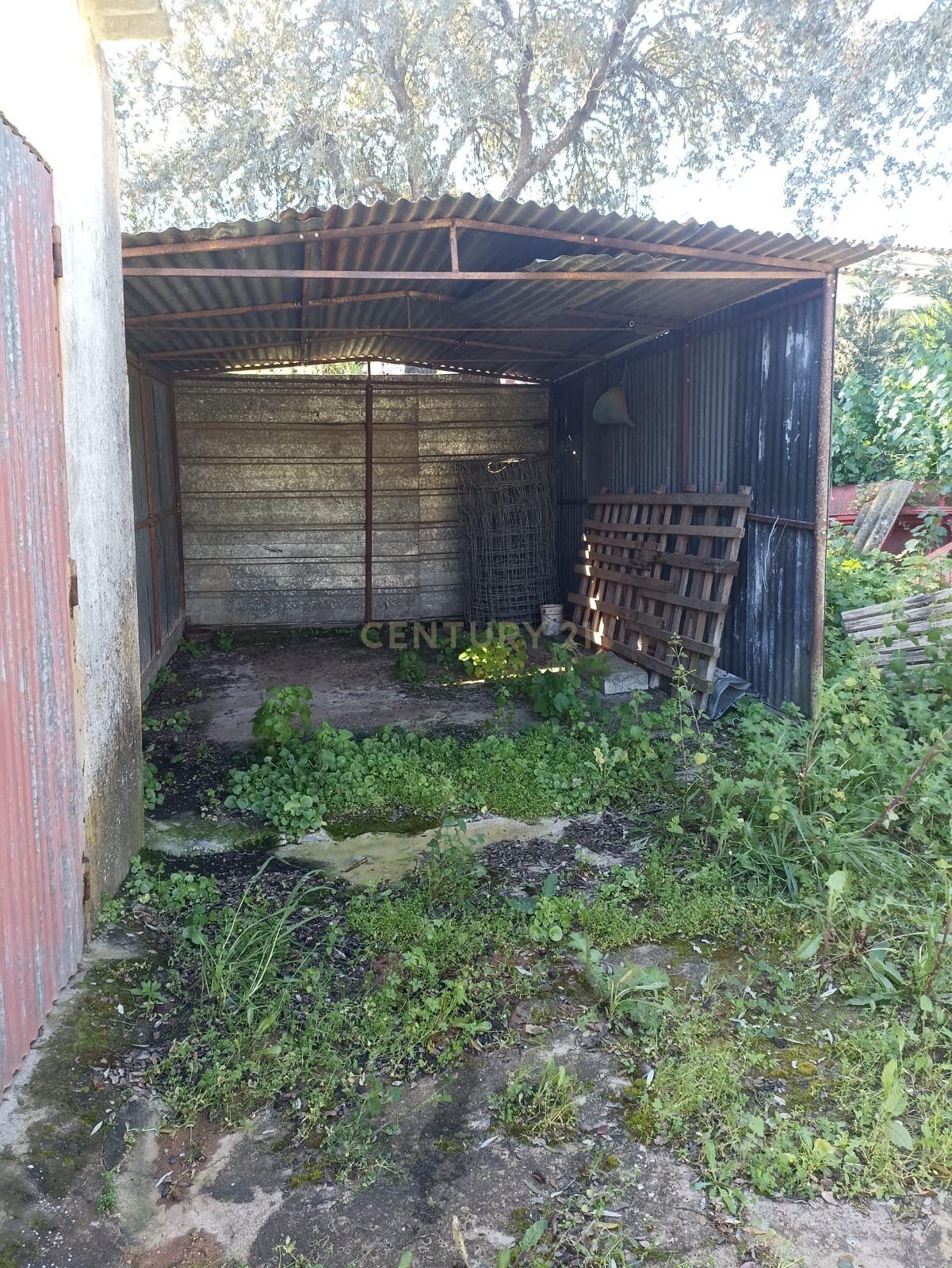 # Terreno Rustico em pleno centro de Montemor -o -Novo - Image 20