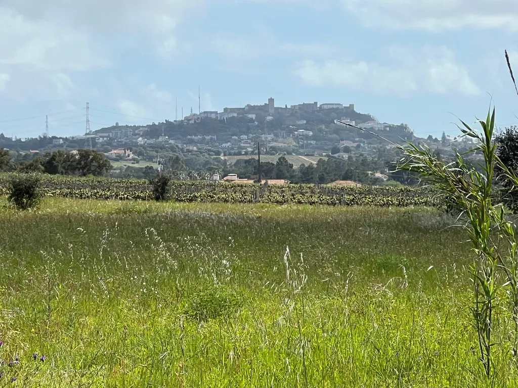 Terreno Industrial de 20.500 m² em Localização Estratégica - Image 1