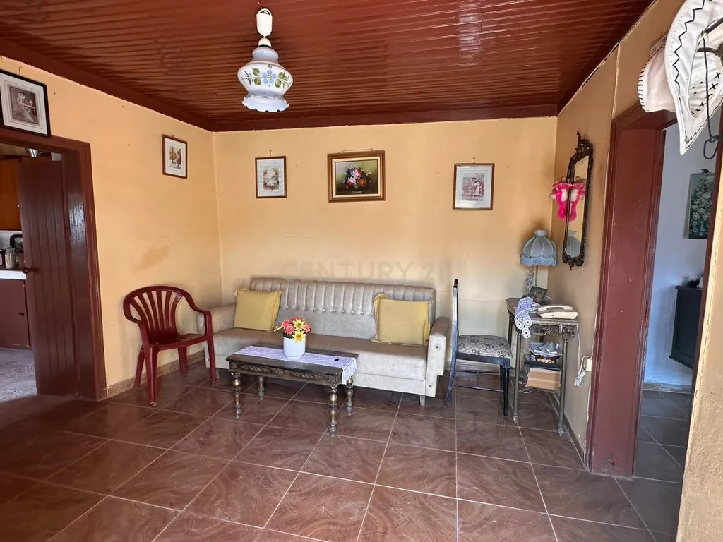ALBERNOA-BEJA - ALENTEJO- Quinta com 1750 m2. Casa de 229 m2 Cozinha-Sala -3 quartos . Garagem. - Image 48