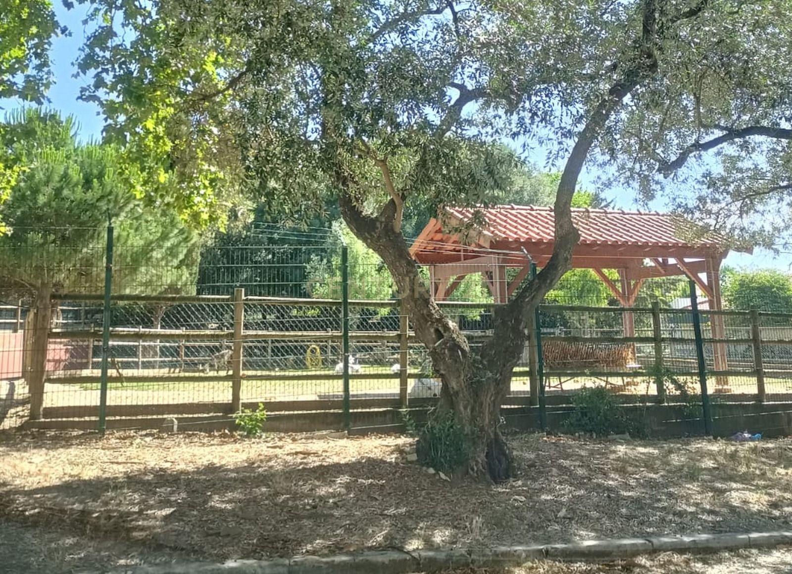 Apartamento T4 à venda em Olivais, Lisboa — foto 30