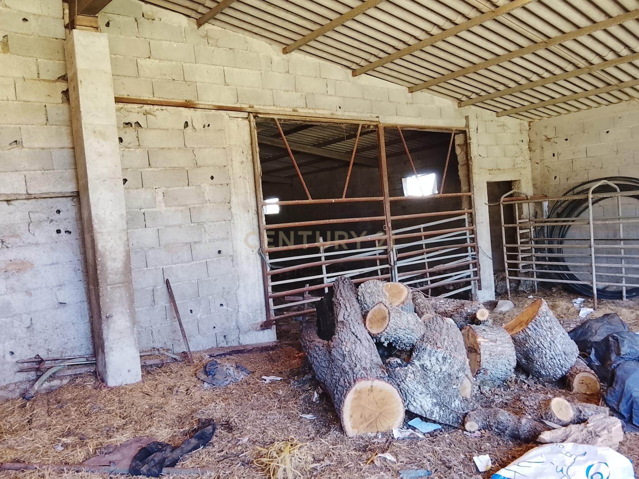 Fotografia 7 de Terreno Rústico, 9800m2, com Vista para Montanha em Baraçal, Sabugal