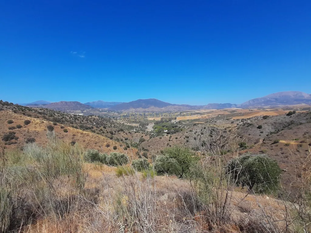 QUINTA RÚSTICA COM 11.000 m² DE TERRENO, PRIVACIDADE E VISTAS PANORÂMICAS EM ÁLORA - Image 3