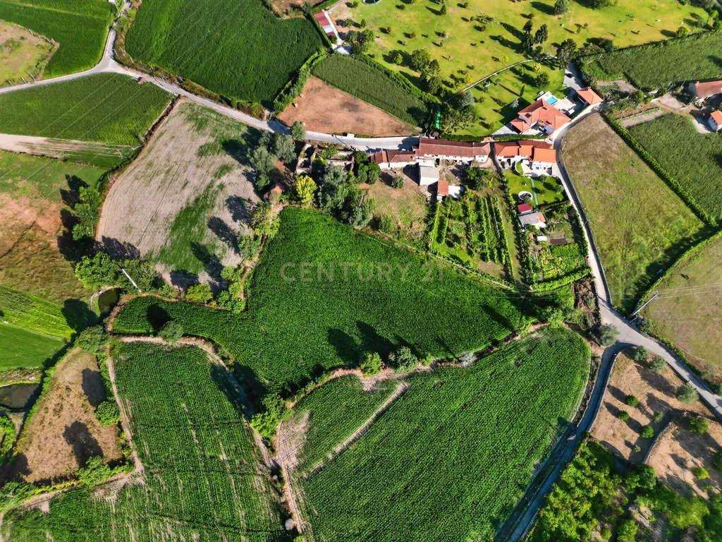Quinta de Verim – 22.000 m² de história, natureza e potencial - Image 20