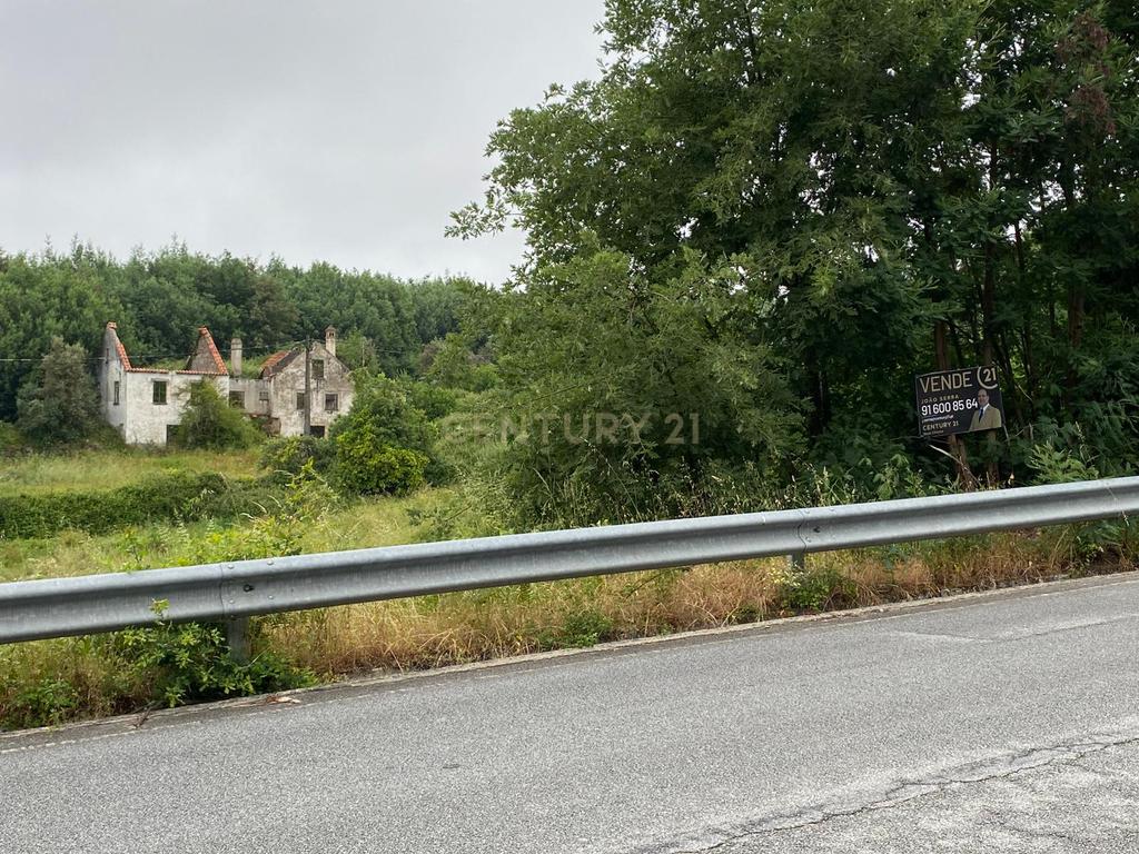 Quinta com Ruína - Oportunidade de Negócio - Image 22