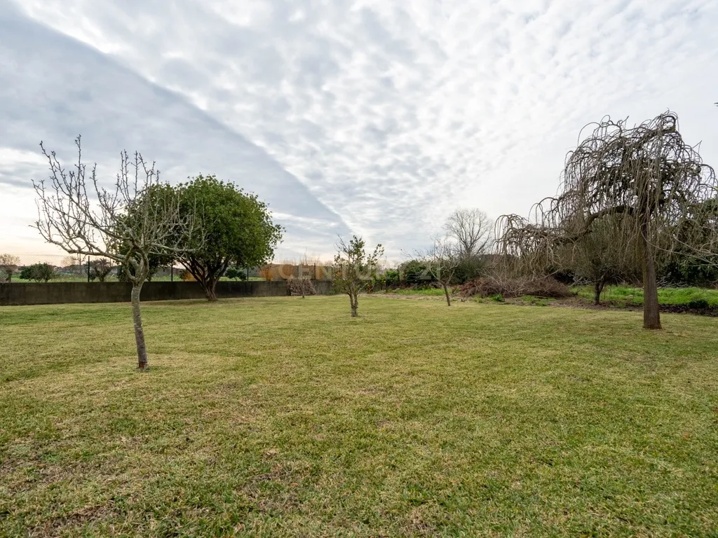 Moradia T5 - C/ terreno - Excelente estado - Image 68