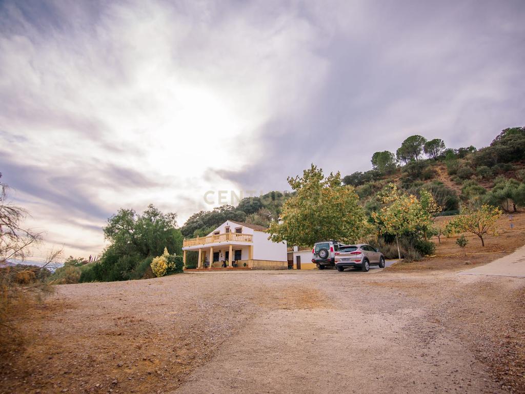 Uma propriedade rural rodeada pela natureza com uma casa de dois andares, piscina privada vedada e terraço para banhos de sol, licença turística, um olival produtivo, instalações para animais adaptáveis ​​e acesso pavimentado a apenas 10 minutos de Ronda. - Image 11